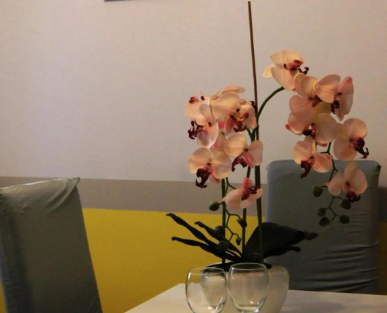 Cozy Old Town Apartments Cracovia